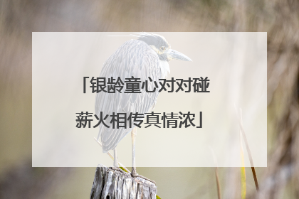 银龄童心对对碰 薪火相传真情浓