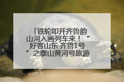 铁轮叩开齐鲁韵 山河入画列车来！“好客山东·齐鲁1号”之泰山黄河号旅游列车首发活动侧记