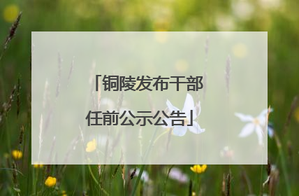 铜陵发布干部任前公示公告