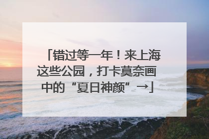 错过等一年！来上海这些公园，打卡莫奈画中的“夏日神颜”→