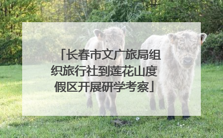 长春市文广旅局组织旅行社到莲花山度假区开展研学考察