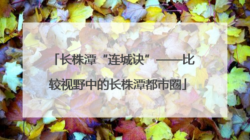 长株潭“连城诀”——比较视野中的长株潭都市圈