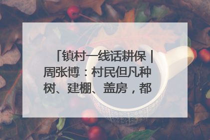 镇村一线话耕保｜周张博：村民但凡种树、建棚、盖房，都要向街道报批