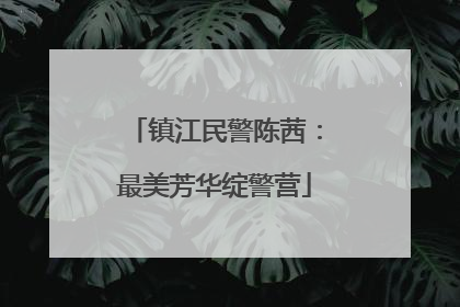 镇江民警陈茜:最美芳华绽警营