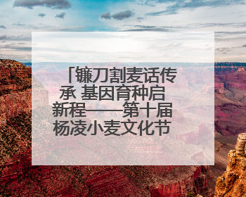 镰刀割麦话传承 基因育种启新程——第十届杨凌小麦文化节见证“颗粒归仓”时空跨越