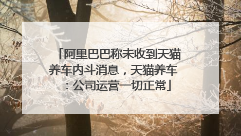 阿里巴巴称未收到天猫养车内斗消息，天猫养车：公司运营一切正常