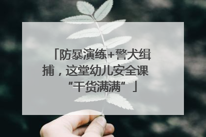 防暴演练+警犬缉捕，这堂幼儿安全课“干货满满”