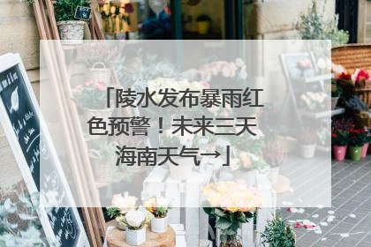 陵水发布暴雨红色预警！未来三天海南天气→