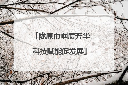 陇原巾帼展芳华 科技赋能促发展