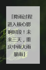 降雨过程进入核心影响时段！未来三天，重庆中雨大雨暴雨