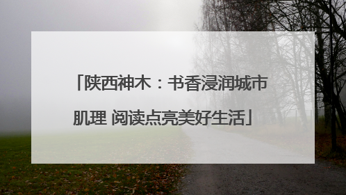 陕西神木：书香浸润城市肌理 阅读点亮美好生活