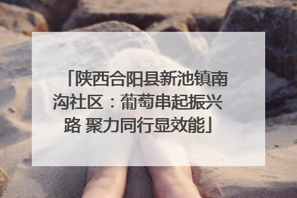 陕西合阳县新池镇南沟社区：葡萄串起振兴路 聚力同行显效能
