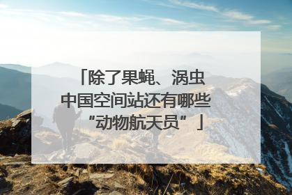 除了果蝇、涡虫 中国空间站还有哪些“动物航天员”