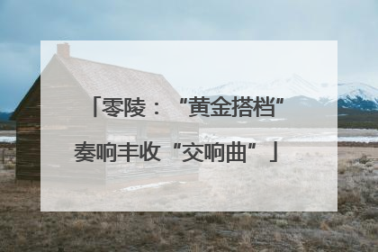 零陵：“黄金搭档”奏响丰收“交响曲”