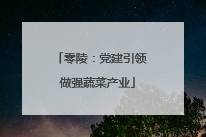 零陵：党建引领 做强蔬菜产业