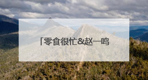 零食很忙&赵一鸣零食用“效率壁垒”重写零售行业规则
