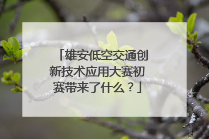 雄安低空交通创新技术应用大赛初赛带来了什么？