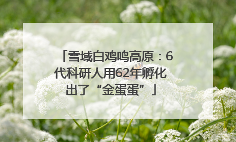 雪域白鸡鸣高原：6代科研人用62年孵化出了“金蛋蛋”