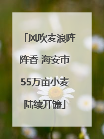 风吹麦浪阵阵香 海安市55万亩小麦陆续开镰