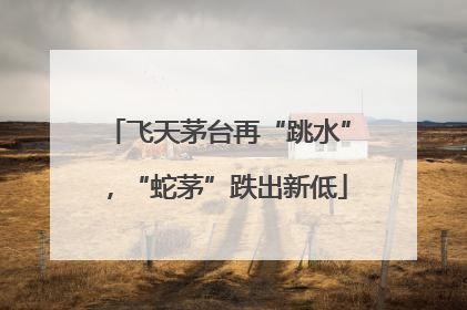飞天茅台再“跳水”，“蛇茅”跌出新低