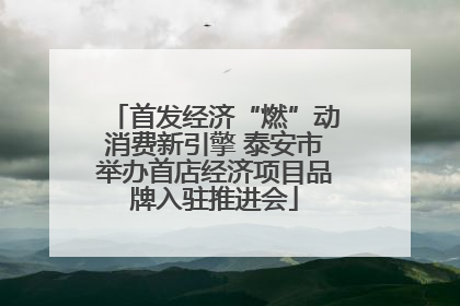 首发经济“燃”动消费新引擎 泰安市举办首店经济项目品牌入驻推进会