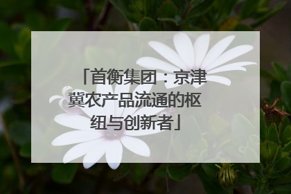 首衡集团：京津冀农产品流通的枢纽与创新者