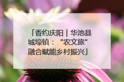 香约庆阳｜华池县城壕镇：“农文旅”融合赋能乡村振兴