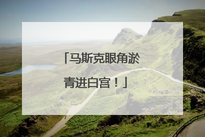 马斯克眼角淤青进白宫！