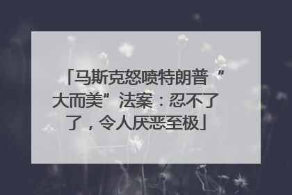 马斯克怒喷特朗普“大而美”法案：忍不了了，令人厌恶至极