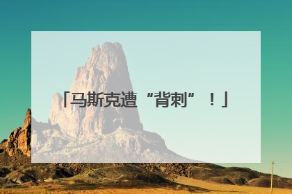 马斯克遭“背刺”！