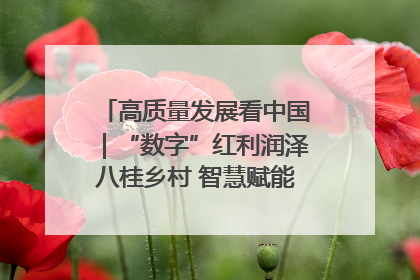 高质量发展看中国｜“数字”红利润泽八桂乡村 智慧赋能绘就振兴画卷