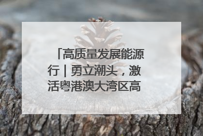 高质量发展能源行｜勇立潮头，激活粤港澳大湾区高质量发展动力源