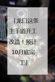 龙口这条主干道开工改造！预计10月底完工
