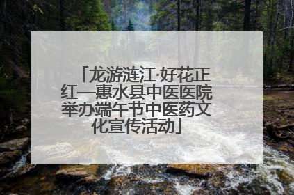 龙游涟江·好花正红—惠水县中医医院举办端午节中医药文化宣传活动