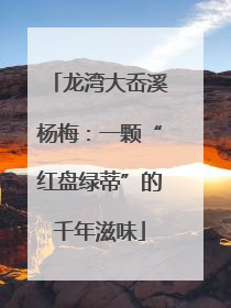 龙湾大岙溪杨梅：一颗“红盘绿蒂”的千年滋味