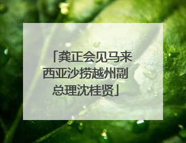 龚正会见马来西亚沙捞越州副总理沈桂贤