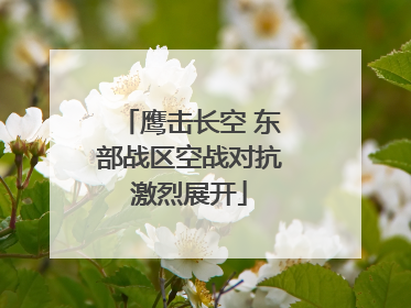 鹰击长空 东部战区空战对抗激烈展开