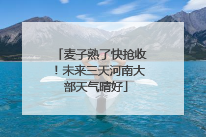 麦子熟了快抢收！未来三天河南大部天气晴好
