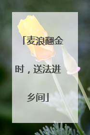 麦浪翻金时，送法进乡间