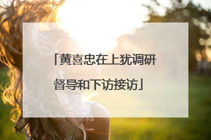 黄喜忠在上犹调研督导和下访接访