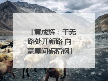 黄成辉：于无路处开新路 向毫厘间砺精钢