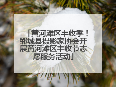 黄河滩区丰收季！郓城县摄影家协会开展黄河滩区丰收节志愿服务活动
