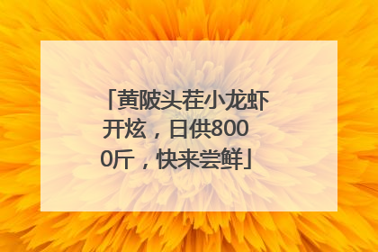 黄陂头茬小龙虾开炫，日供8000斤，快来尝鲜
