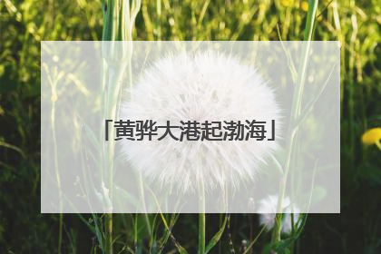 黄骅大港起渤海