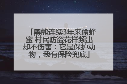 黑熊连续3年来偷蜂蜜 村民防盗花样频出却不伤害：它是保护动物，我有保险兜底