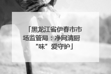黑龙江省伊春市市场监管局：净网清厨 “味”爱守护