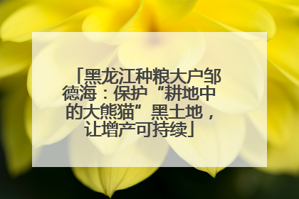 黑龙江种粮大户邹德海：保护“耕地中的大熊猫”黑土地，让增产可持续