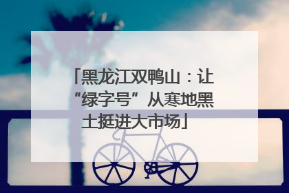 黑龙江双鸭山：让“绿字号”从寒地黑土挺进大市场
