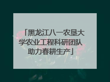 黑龙江八一农垦大学农业工程科研团队助力春耕生产