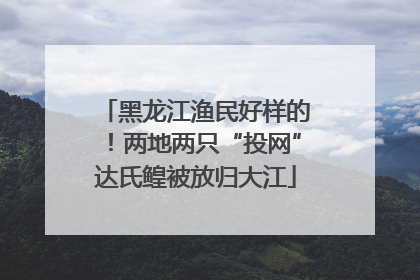 黑龙江渔民好样的！两地两只“投网”达氏鳇被放归大江